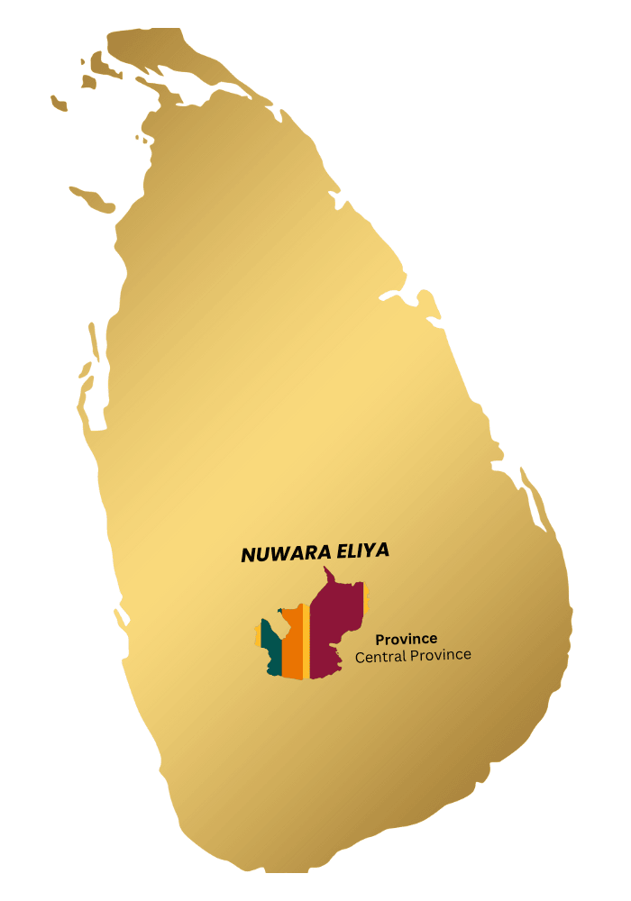 Nuwara Eliya Map